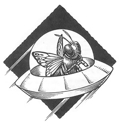 One biophysicist speculates that swarms of luminous bugs might be the source of most UFO sightings.